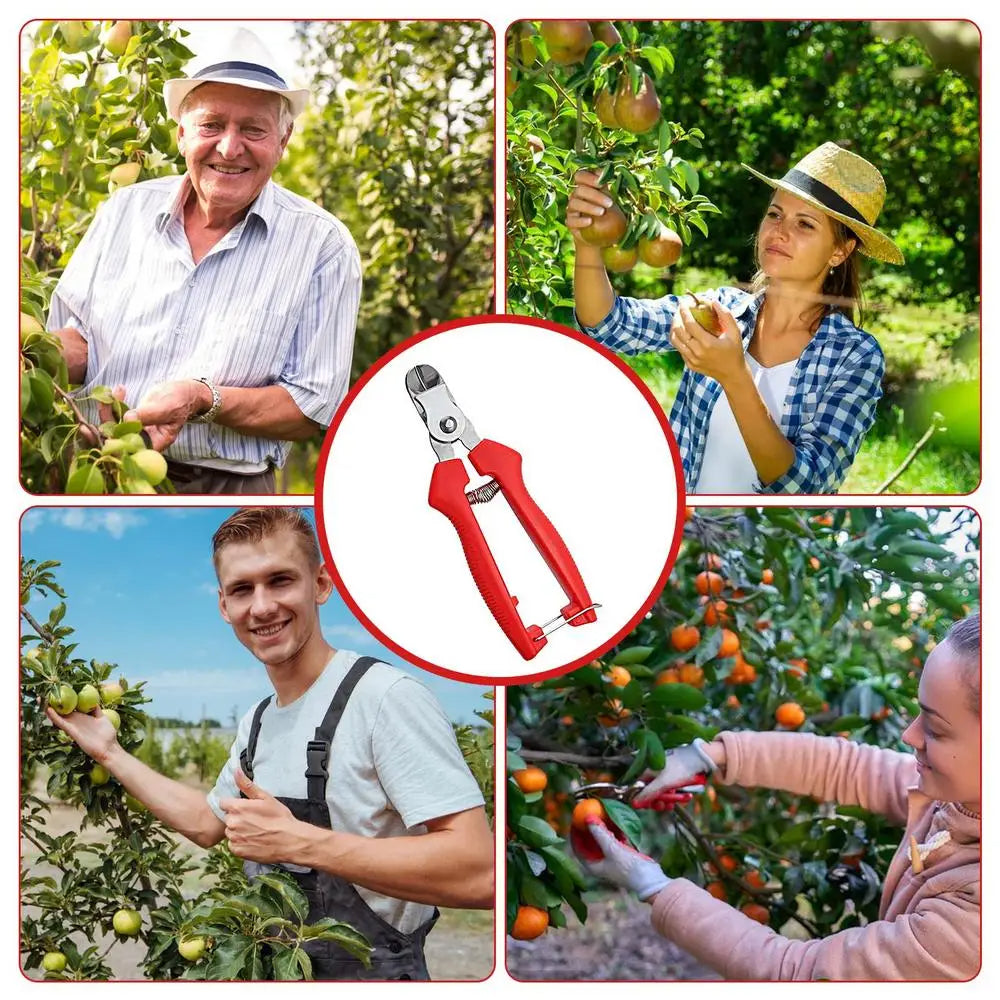 Tijeras de podar - Herramientas de jardinería - Tijeras de jardín - Cortador curvo - Tijeras ergonómicas - Herramientas manuales de jardinería - Tijeras para recoger frutas - Jardinería duradera - Acero inoxidable - Herramientas para árboles frutales