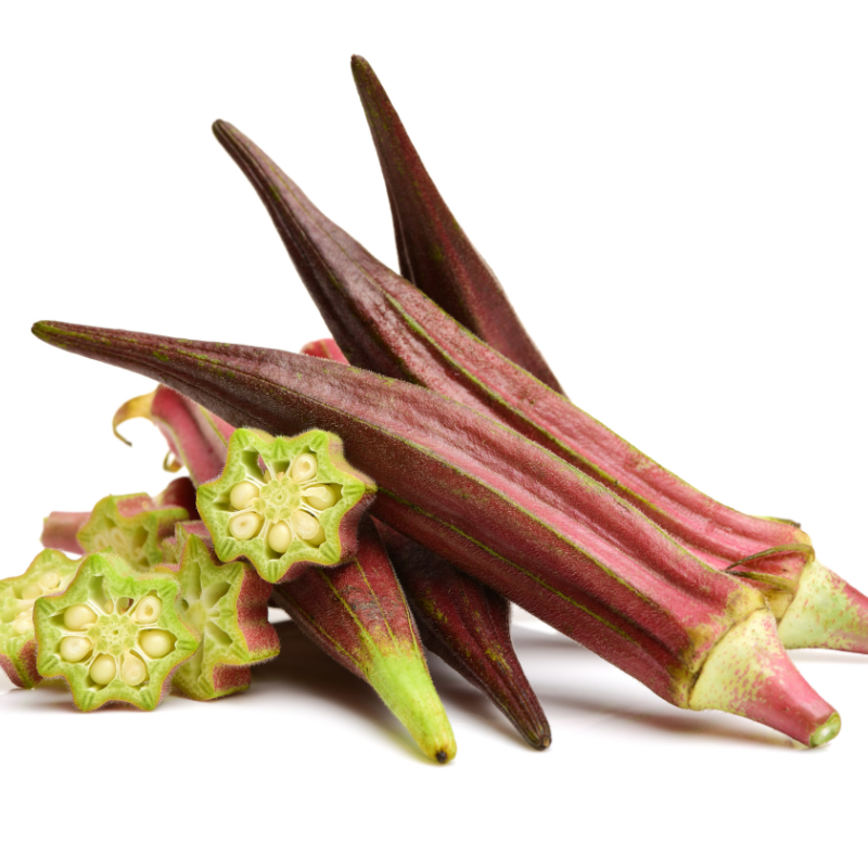 Quimbombó rojo - 6-8 pulgadas, ideal para cocina