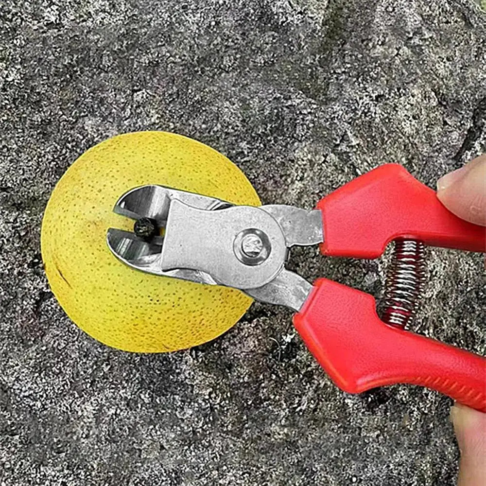 Tijeras de podar - Herramientas de jardinería - Tijeras de jardín - Cortador curvo - Tijeras ergonómicas - Herramientas manuales de jardinería - Tijeras para recoger frutas - Jardinería duradera - Acero inoxidable - Herramientas para árboles frutales