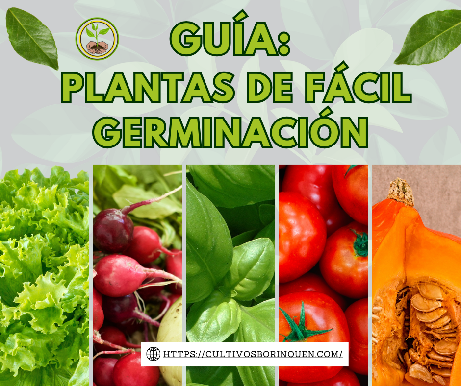 Guía fácil para germinar plantas y cultivar en casa - Pasos sencillos para la germinación de plantas en tu huerto urbano - Manual paso a paso para cosechar plantas en casa - Aprende a cuidar tus plantas desde la germinación hasta la cosecha