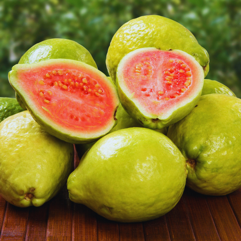 Frutos de guayaba pera maduros - 2-3 pulgadas de diámetro