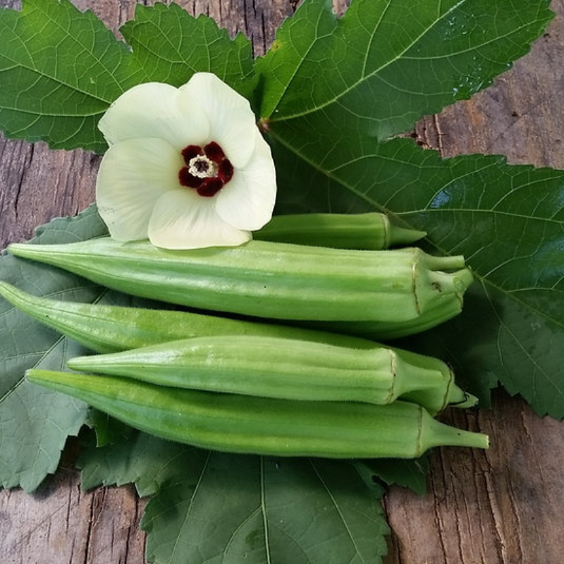 Combo 14 - Semillas Premium de Proteína y Energía + Guía de Cultivo