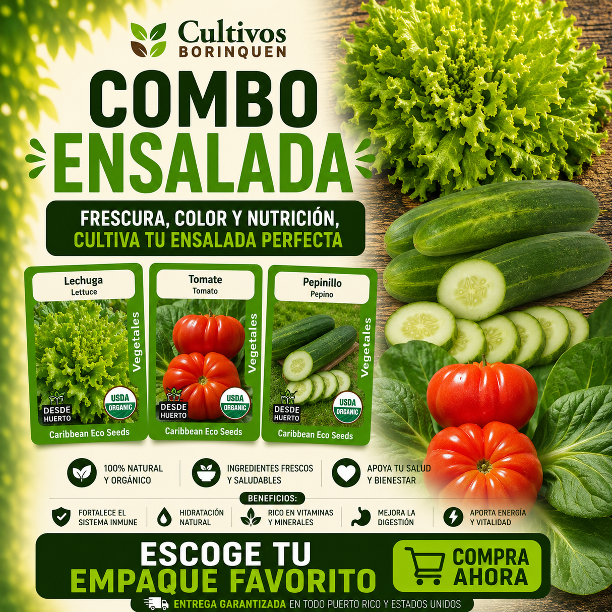 Combo Ensalada con semillas orgánicas de lechuga, tomate y pepino