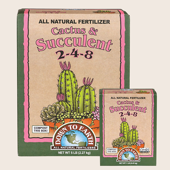 Fertilizante orgánico Cactus & Suculent 2-4-8 para plantas resistentes -Cactus y suculentas saludables con fertilizante natural -Aplicación de fertilizante en cactus y agaves -Jardín de xeriscape vibrante con cactus y suculentas -Suelo mejorado y raíces fuertes en plantas de clima árido