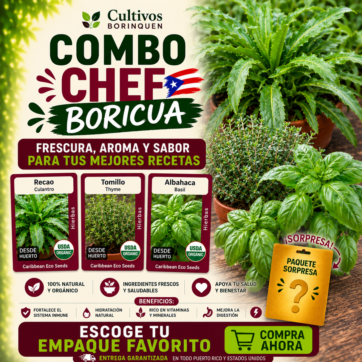 Combo Chef Boricua con semillas orgánicas de recao, tomillo y albahaca