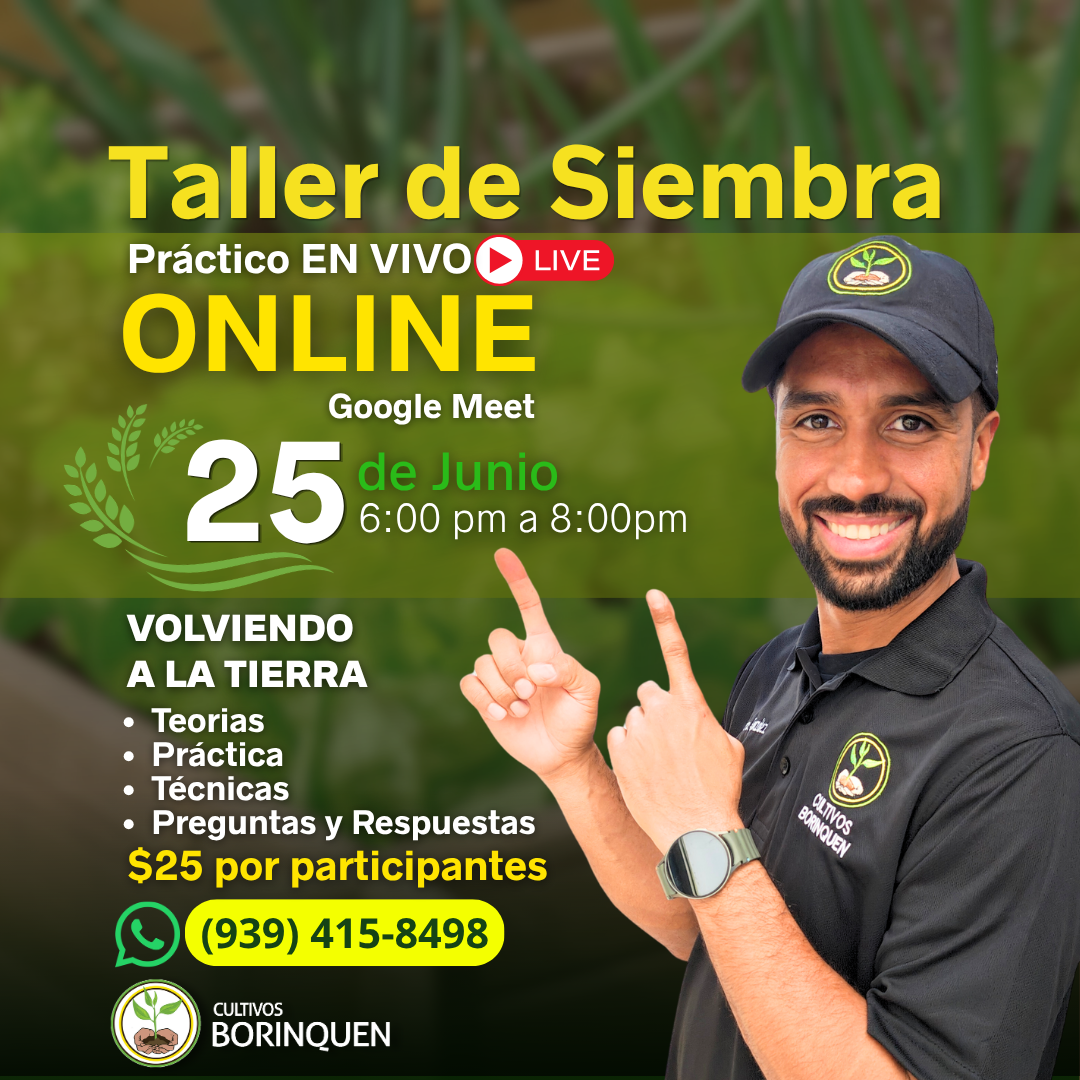Taller Online de Siembra