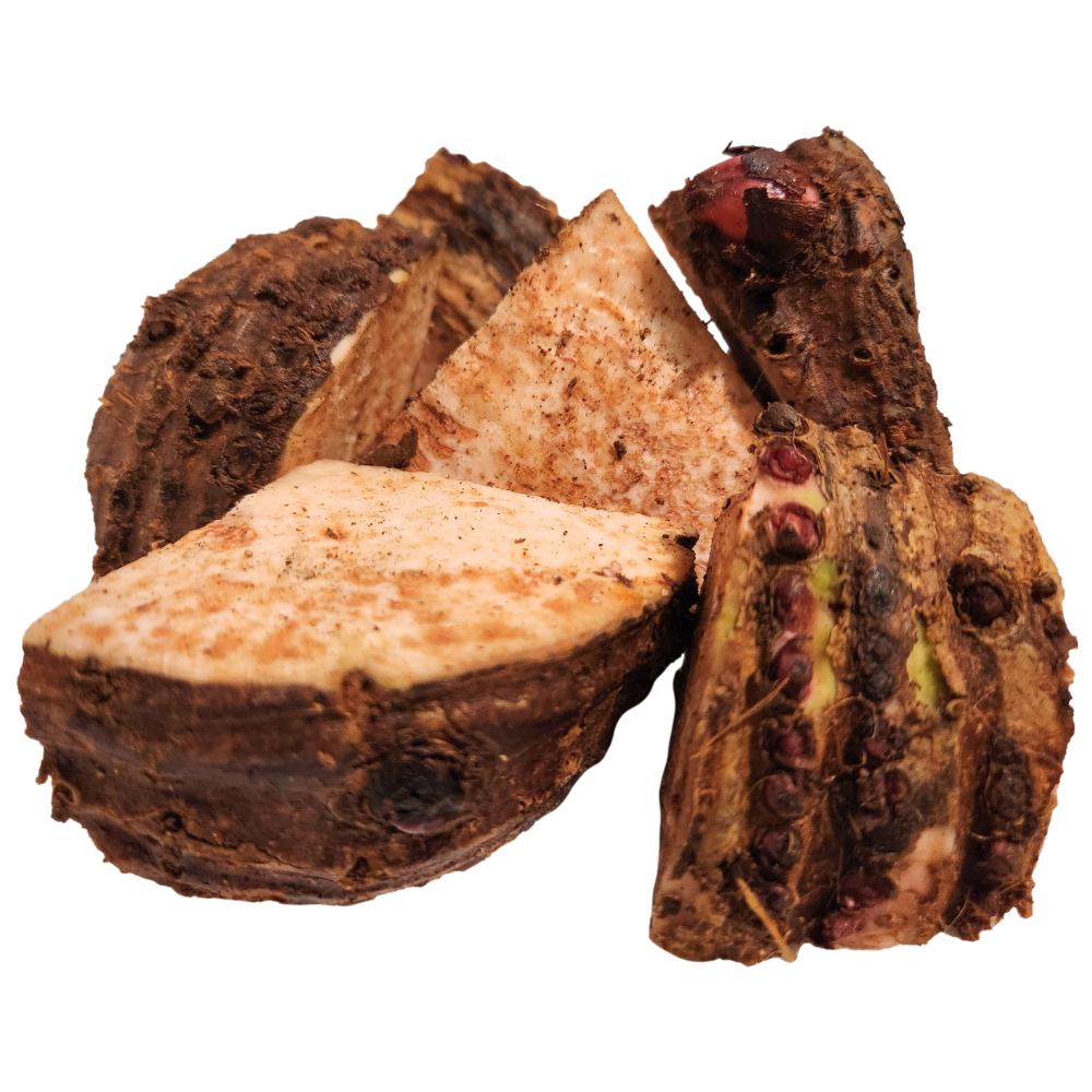 2 Semillas de Yautia Lila