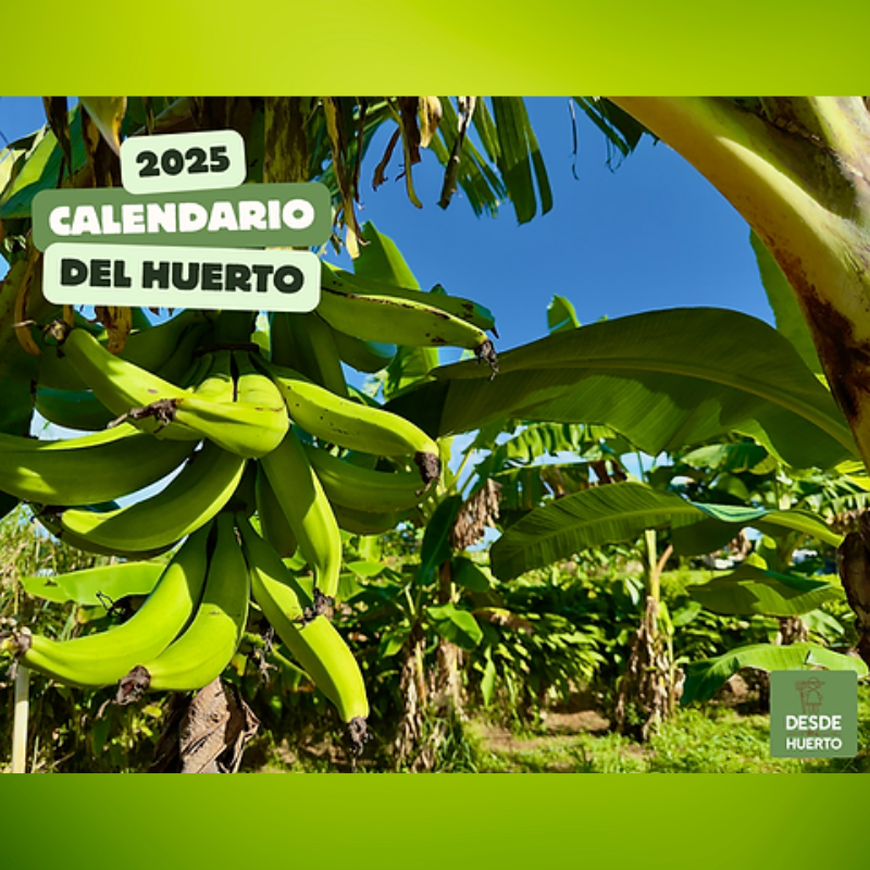 Calendario para huertos
- Organización de huertos
- Fases de la luna
- Siembra y cosecha
- Cultivos en Puerto Rico
- Gestión de huertos