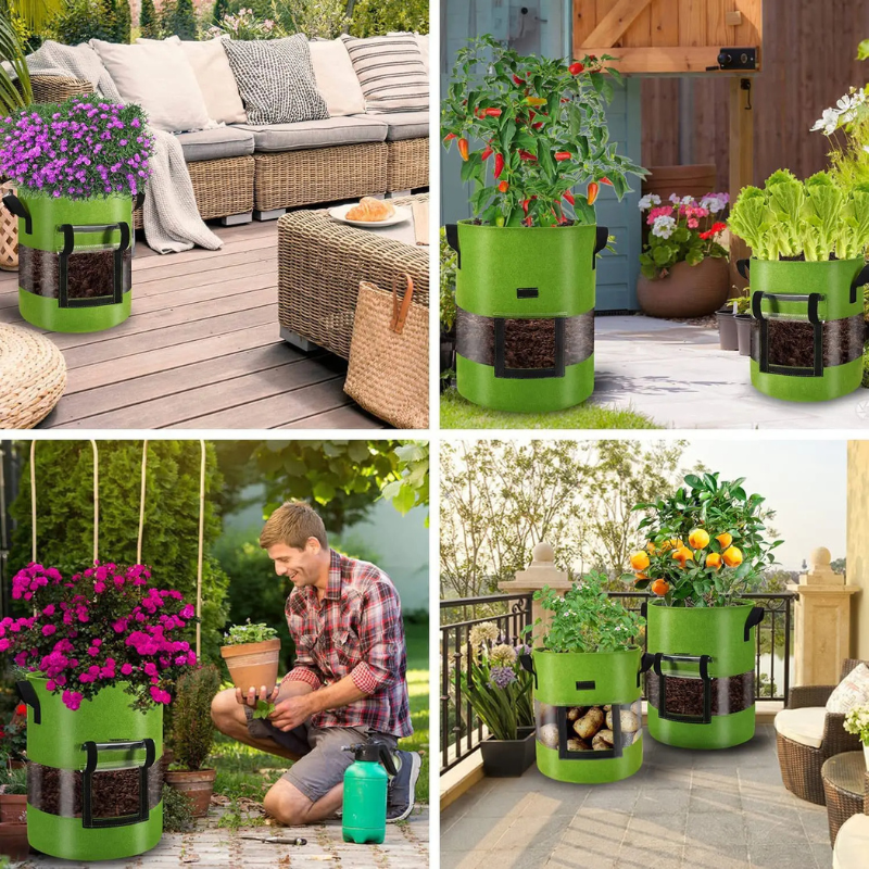 Bolsa Transparente para Cultivo