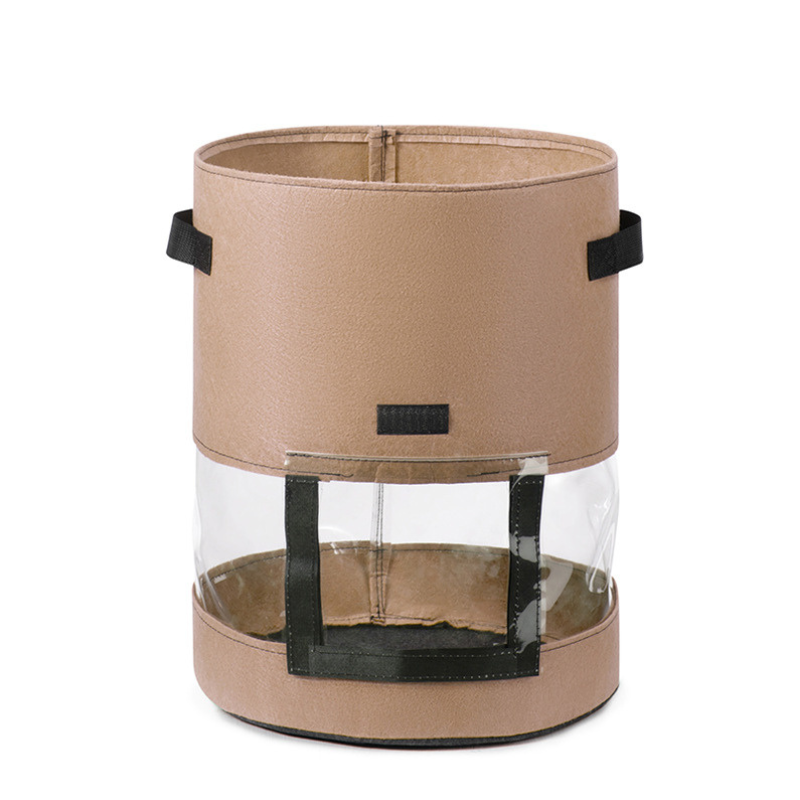 Bolsa Transparente para Cultivo