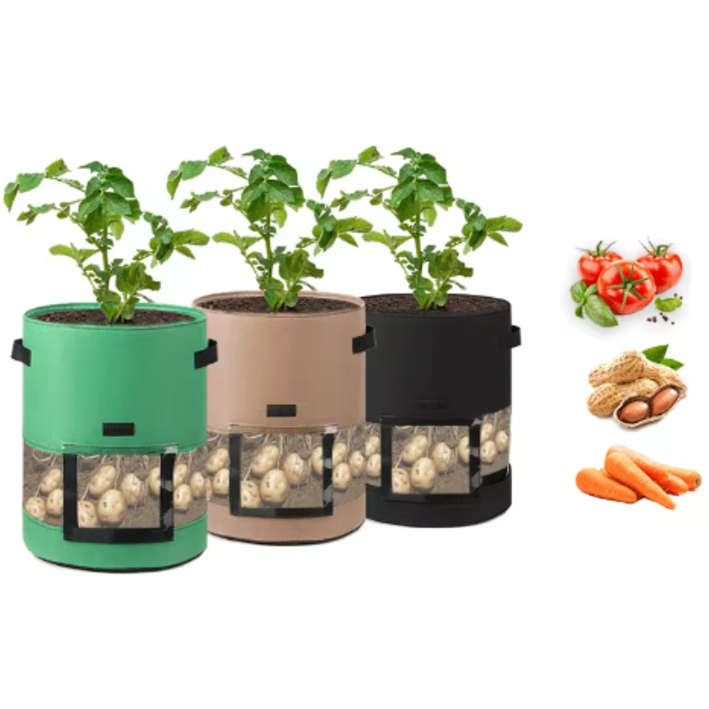 Bolsa Transparente para Cultivo