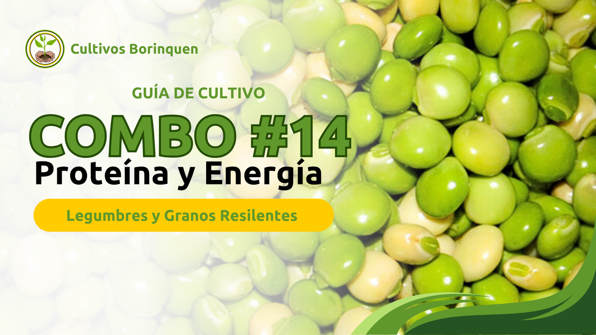 Combo 14 - Semillas Premium de Proteína y Energía + Guía de Cultivo