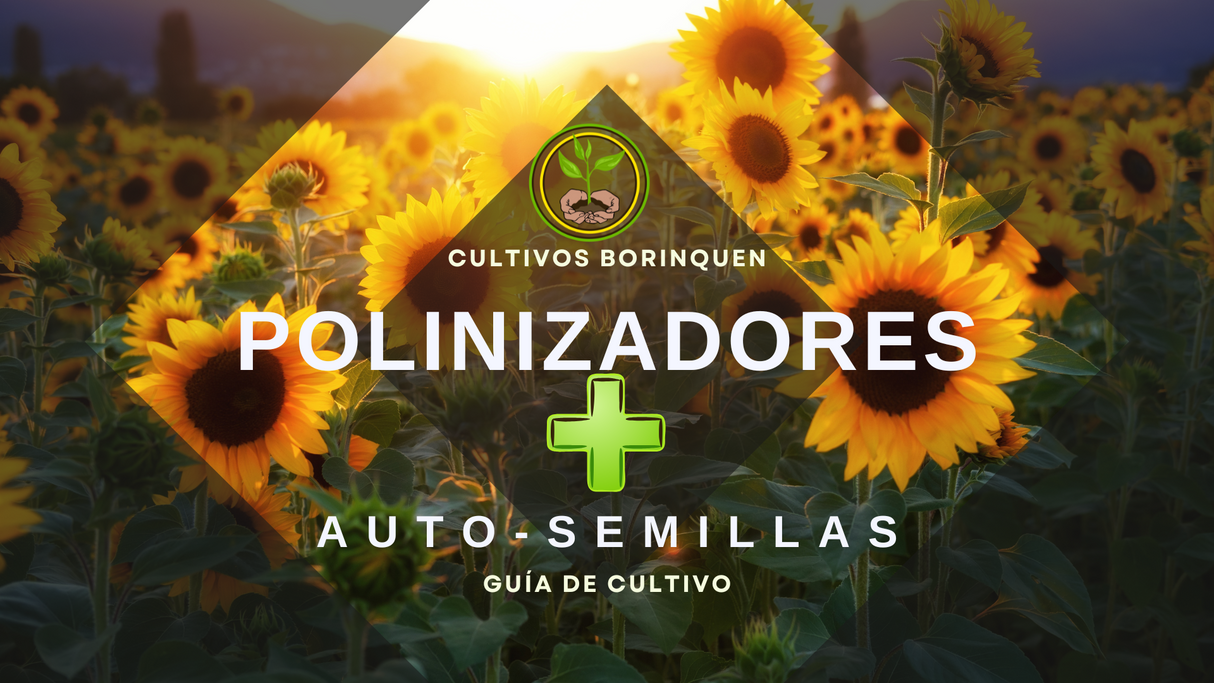 Combo Polinizadores + Autosemillas - Incluye Guía de Cultivo