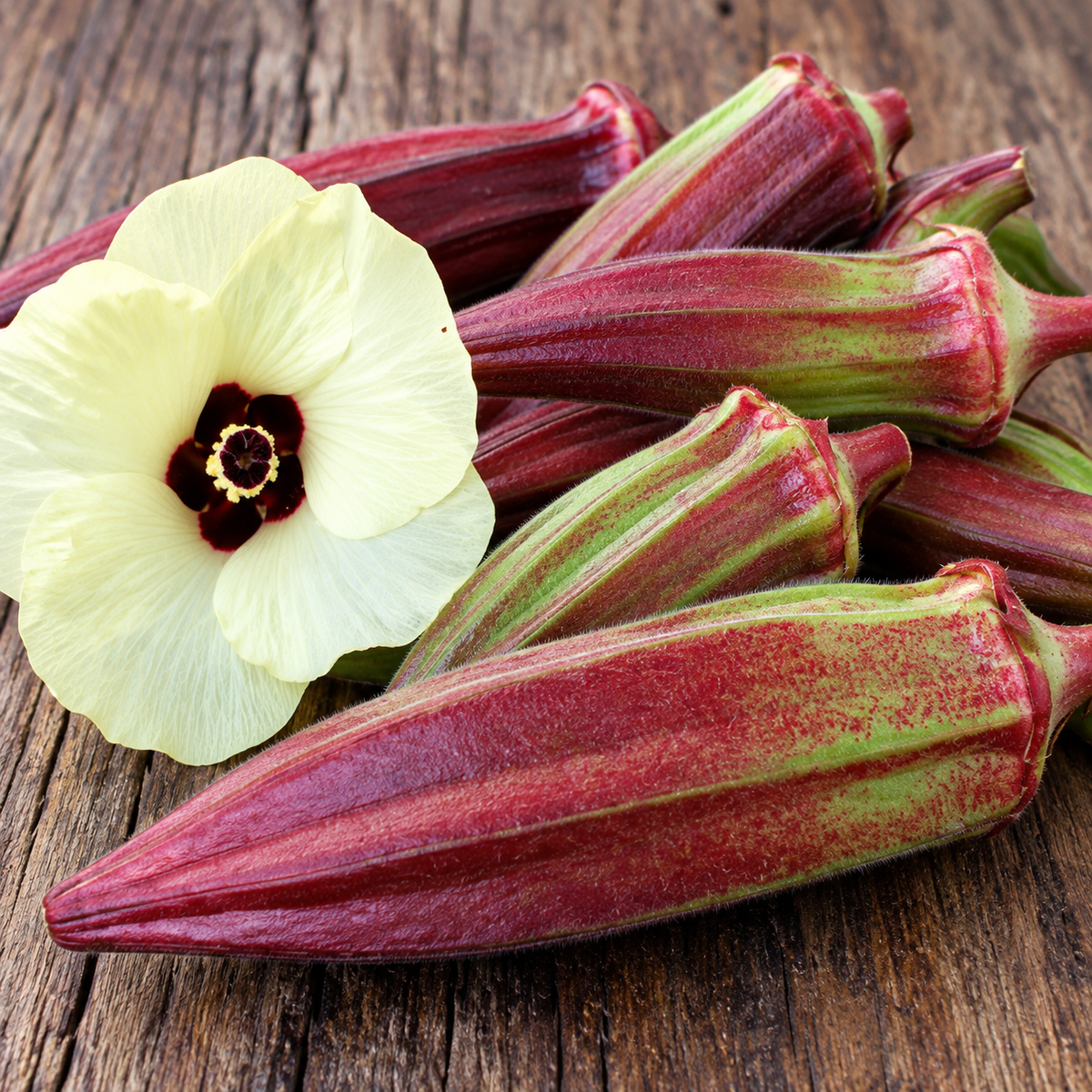 Semillas Quimbombó/ Okra "Rojo"
