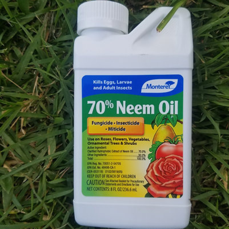 Aceite de Neem 70% - Botella para control orgánico de hongos e insectos en plantas
