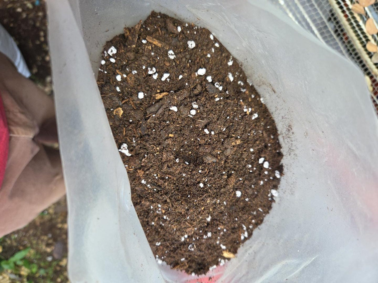 Tierra Mezcla Compo Trasplante 30 qts. (Agrícola)