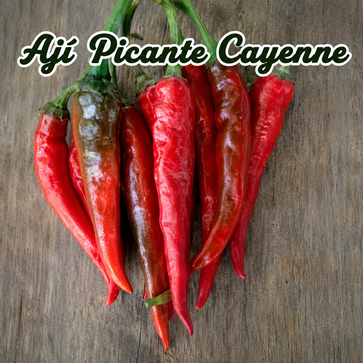 Combo de ajíes picantes para cultivo en casa