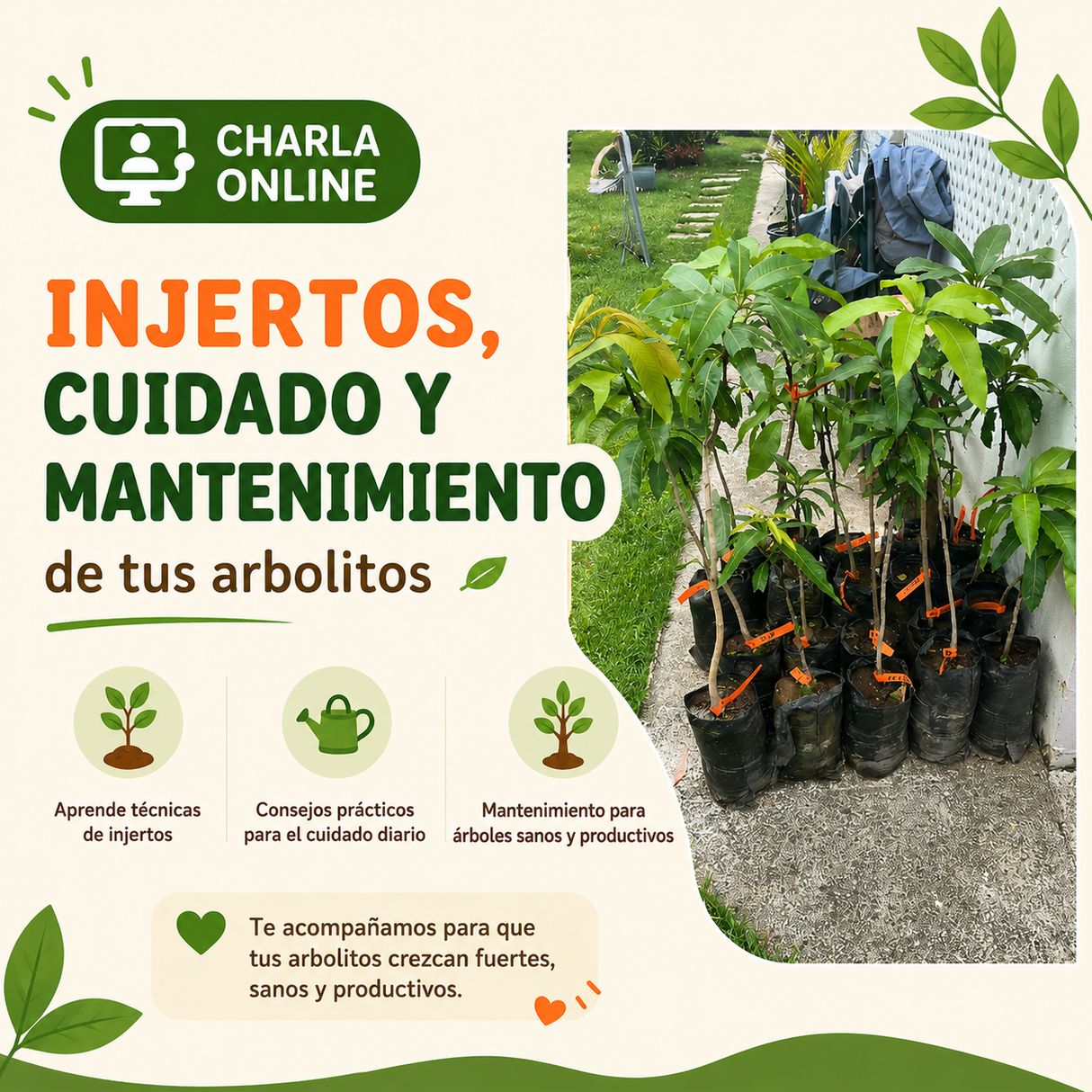 Taller Online de Siembra