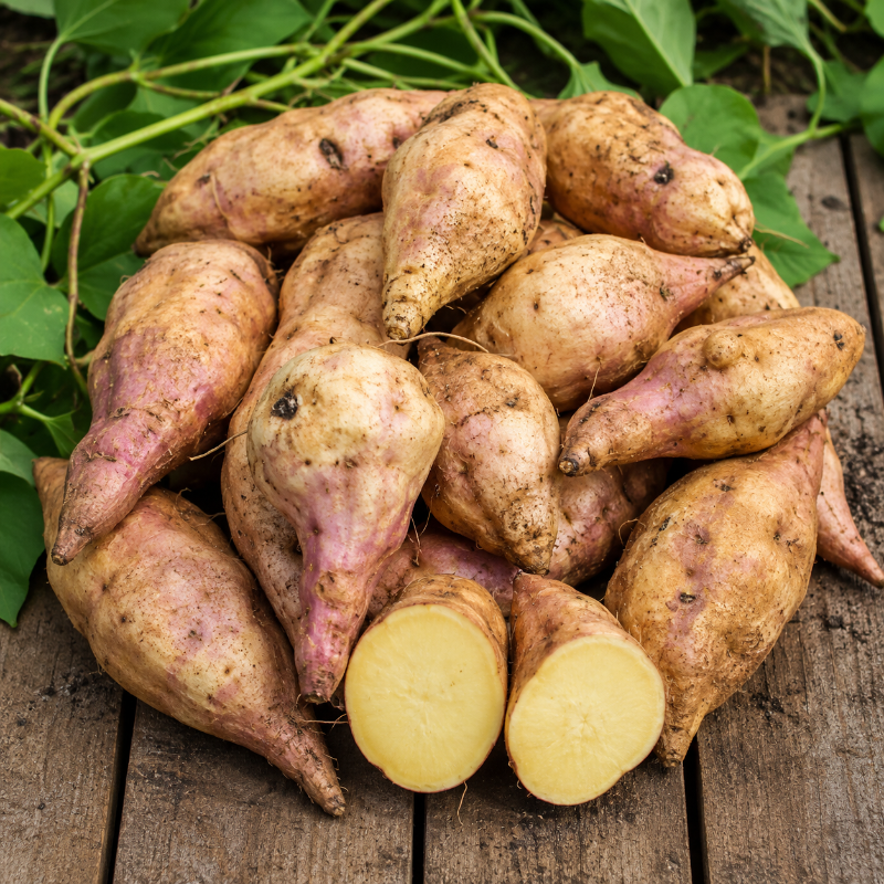 Batata Canol