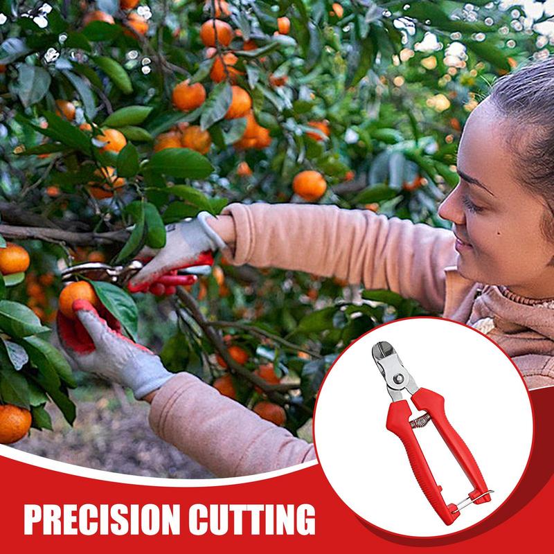 Tijeras de podar - Herramientas de jardinería - Tijeras de jardín - Cortador curvo - Tijeras ergonómicas - Herramientas manuales de jardinería - Tijeras para recoger frutas - Jardinería duradera - Acero inoxidable - Herramientas para árboles frutales