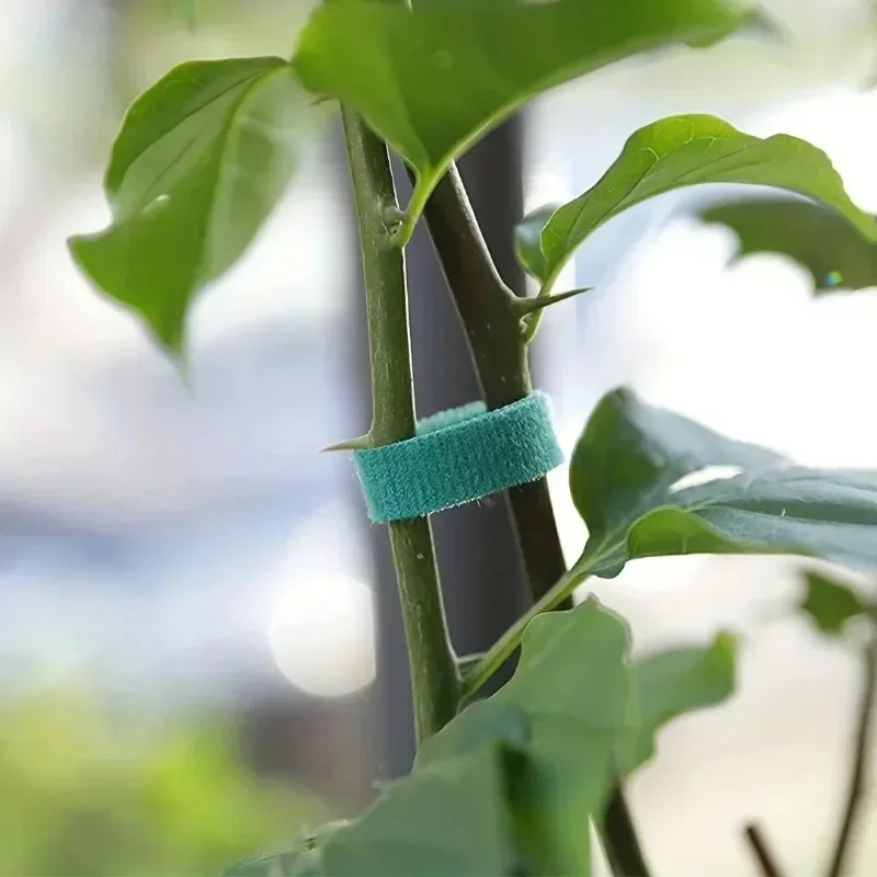 Rollos de Cinta verde para Amarres de Jardín