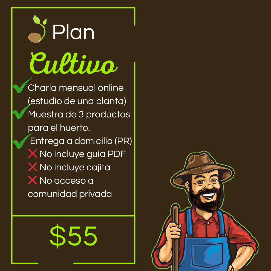 Cajita mensual para huerto incluida en plan cosecha