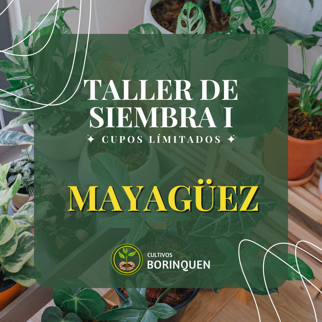 Reserva Taller de Siembra I - Presencial