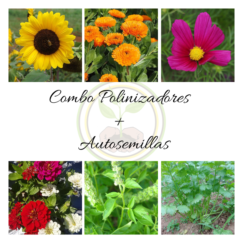 Combo Polinizadores + Autosemillas - Incluye Guía de Cultivo