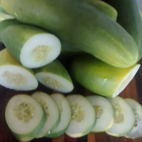 Semillas de pepinillo - Germinación en 3-5 días