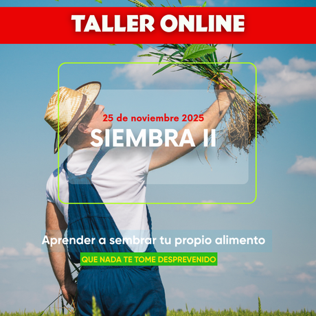 Kit de Huerto Casero – Materiales para Taller Online de Siembra I