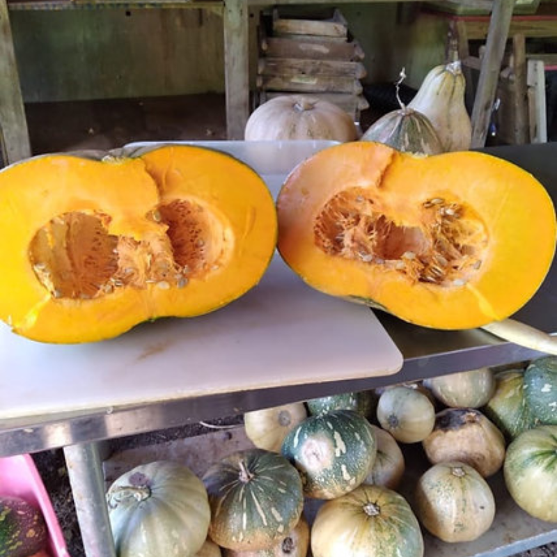 Pulpa de calabaza - Cremosa y anaranjada con pocas semillas
