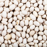Habichuelas blancas cosechadas - Ingrediente para arroz tradicional