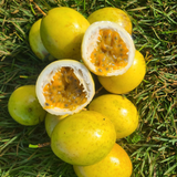 Semillas de maracuyá - Fruta tropical para jugos