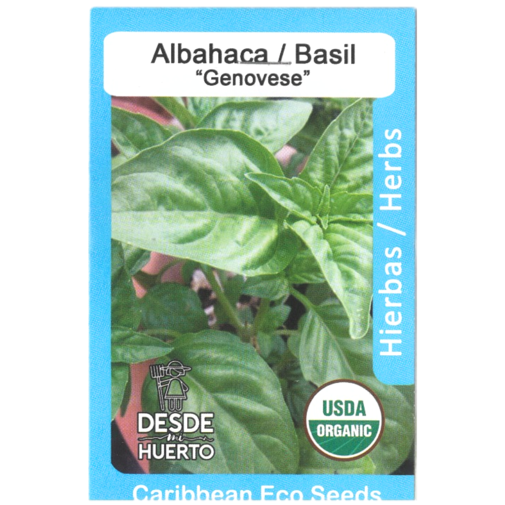 Semillas de albahaca dulce
 - Cultivar albahaca en casa
 - Albahaca fresca para cocinar
 - Albahaca de Puerto Rico
 - Huerto urbano de albahaca
 - Albahaca dulce orgánica
