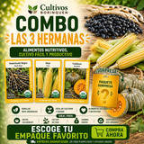 Combo Las 3 Hermanas con habichuela negra, maíz y calabaza