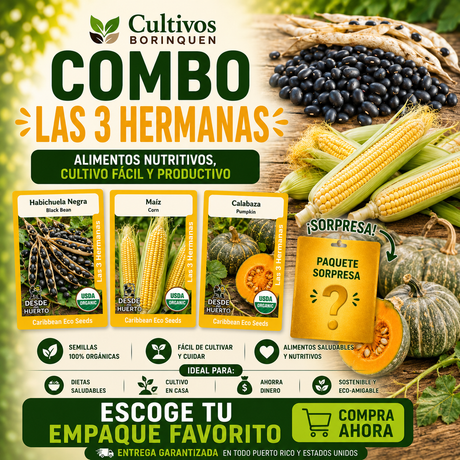 Combo Las 3 Hermanas con habichuela negra, maíz y calabaza