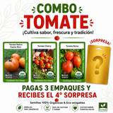Combo Tomate con semillas de tomate Cherry, tomate Nativo Puerto Rico y tomate Roma.