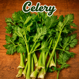 Semillas orgánicas para cultivar ingredientes de jugos verdes