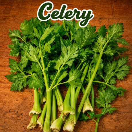 Semillas orgánicas para cultivar ingredientes de jugos verdes