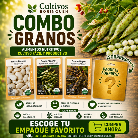 ESCOGE TU COMBO FAVORITO