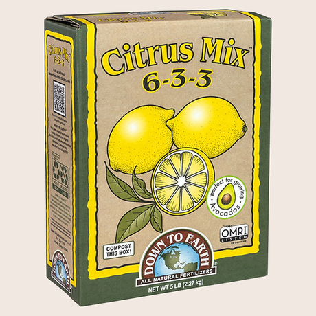 Fertilizante orgánico Citrus Mix 6-3-3 para cítricos y árboles frutales -Árbol de cítricos saludable con frutos y flores -Aplicación de fertilizante orgánico en árbol de limón -Follaje brillante y frutos en cítricos con fertilizante natural -Jardín de cítricos vibrantes y saludables con abono orgánico