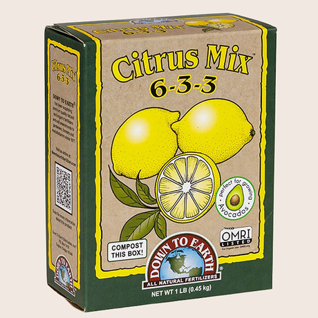 Fertilizante orgánico Citrus Mix 6-3-3 para cítricos y árboles frutales -Árbol de cítricos saludable con frutos y flores -Aplicación de fertilizante orgánico en árbol de limón -Follaje brillante y frutos en cítricos con fertilizante natural -Jardín de cítricos vibrantes y saludables con abono orgánico