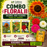 Combo Floral II con semillas de girasol velvet, algodoncillo y zinnia