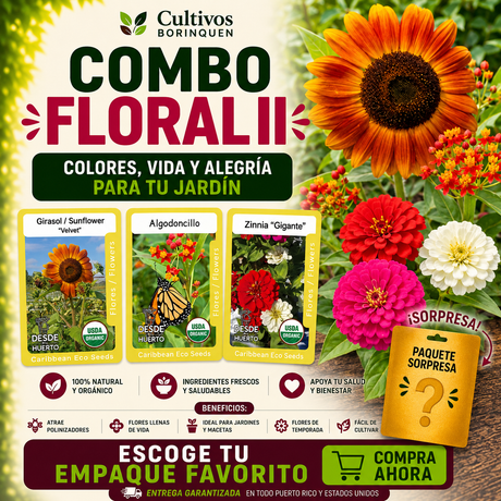 Combo Floral II con semillas de girasol velvet, algodoncillo y zinnia