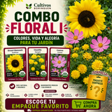 Combo Floral I con semillas de clavelillo, cosmos y girasol mammoth
