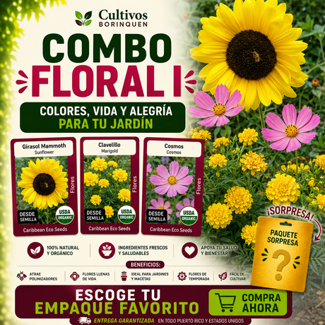 Combo Floral I con semillas de clavelillo, cosmos y girasol mammoth
