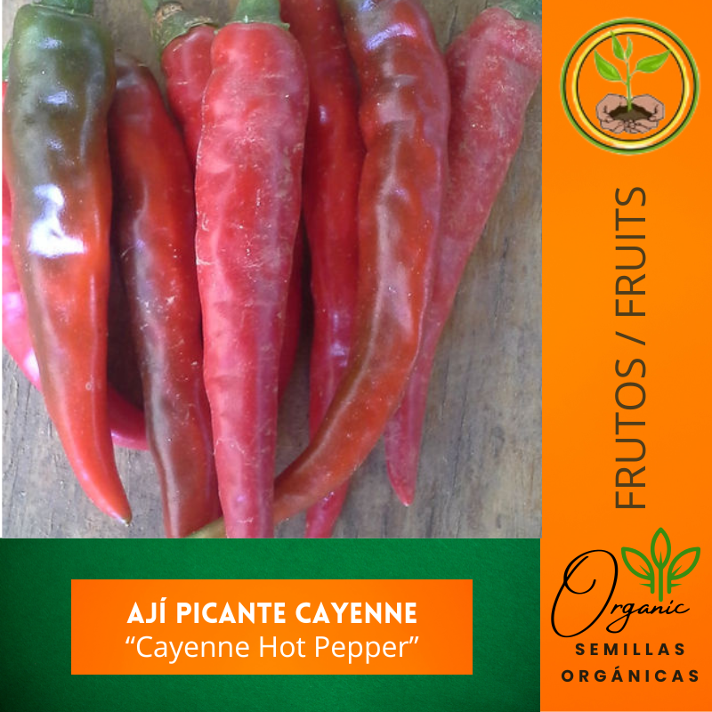 Semillas de Ají Cayenne (Picante)