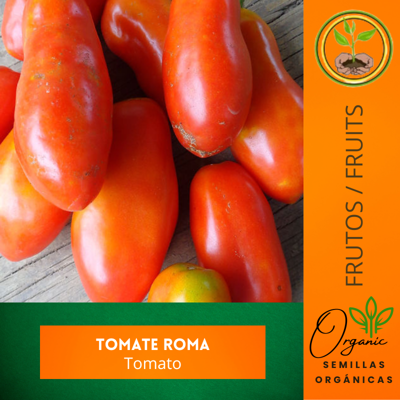 Roma Tomato Seeds