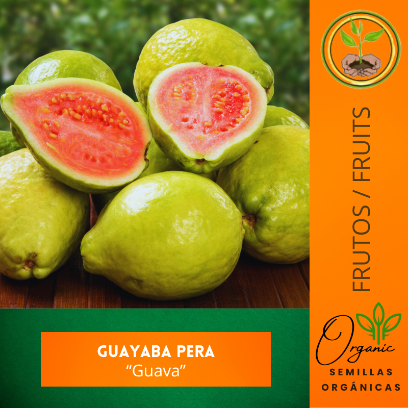 Semillas de Guayaba Pera