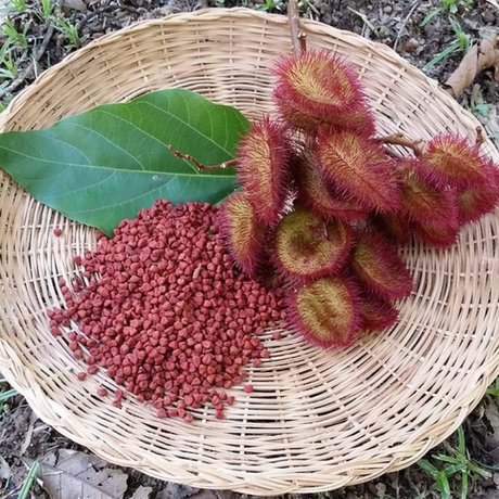 Semillas de achiote - Colorante natural rojo